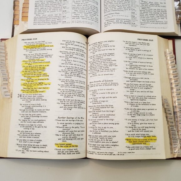 Holy Bible NIV Reference Edition Red Letter Old & New Test Bible Zondervan HB + - Picture 12 of 14